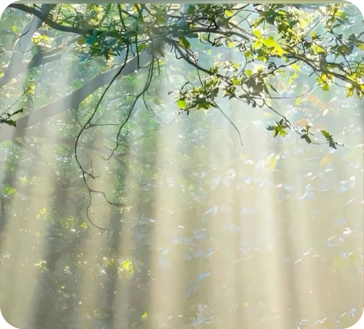 Sustained Clarity